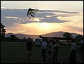 image008.jpg
