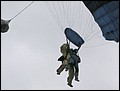image2115.jpg