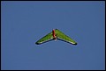 IMG_6920.JPG