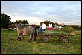 IMG_7133.JPG