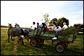 IMG_7140.JPG
