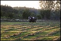 IMG_7147.JPG