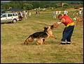 2006_0708_172921.jpg