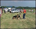 imagean025.jpg