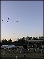 P7143849.JPG