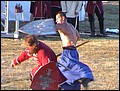 harcm8.jpg