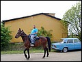 P11.JPG