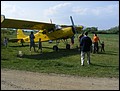 gawron1_resize.JPG