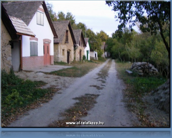 02 erdei sta07